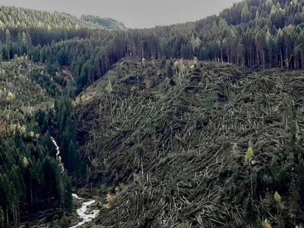 Sostenibilità Oesse