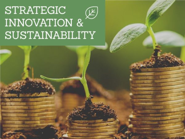 The relationship between strategic innovation and sustainability