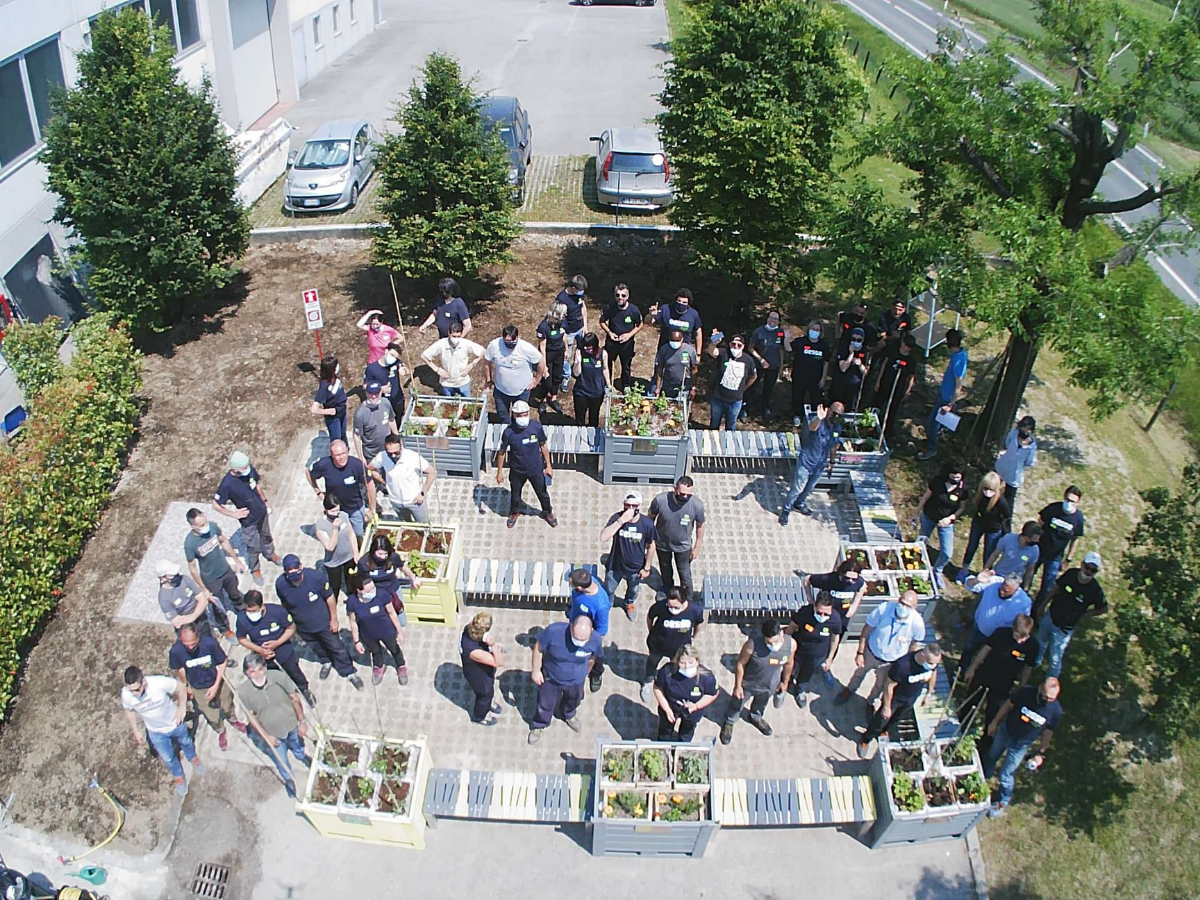 How we’ve transformed an unused area of the company into a vegetable garden